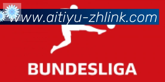 爱体育合作伙伴